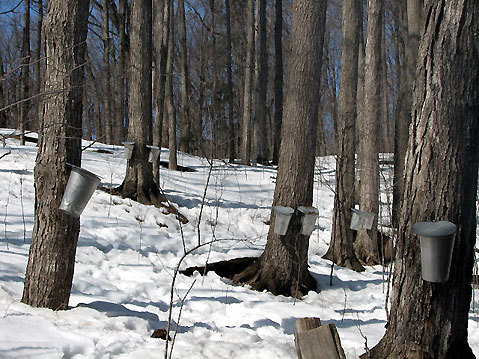 Slideshow image